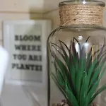 Dans Agreable Tiny House En Normandie Au Coeur Du Pays D'auge