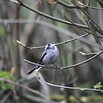 בית נופש Dans Agreable Tiny House En Normandie Au Coeur Du Pays D'auge