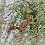 Dans Agreable Tiny House En Normandie Au Coeur Du Pays D'auge *