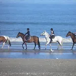 בית נופש Dans Agreable Tiny House En Normandie Au Coeur Du Pays D'auge