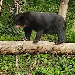 Dans Agreable Tiny House En Normandie Au Coeur Du Pays D'auge * Le Brevedent