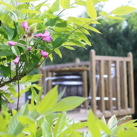 Dans Agreable Tiny House En Normandie Au Coeur Du Pays D'auge * Le Brevedent
