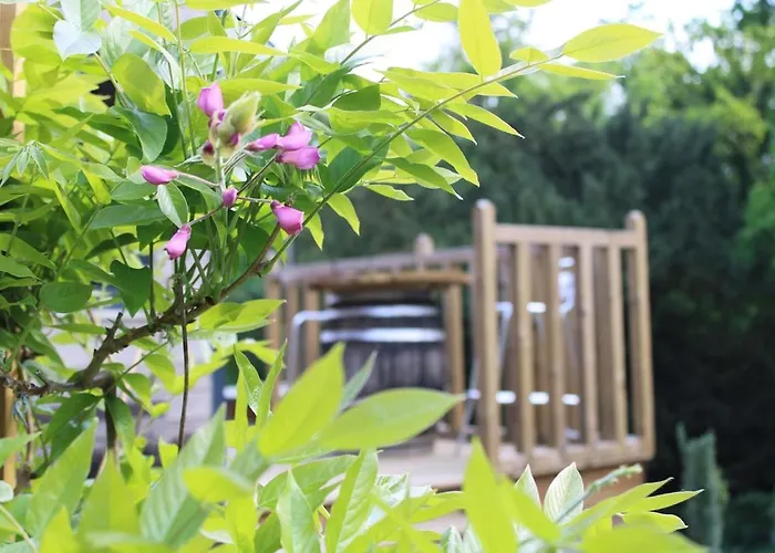 Dans Agreable Tiny House En Normandie Au Coeur Du Pays D'auge * Le Brevedent