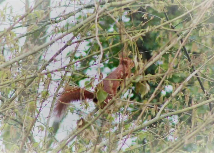 Dans Agreable Tiny House En Normandie Au Coeur Du Pays D'auge *