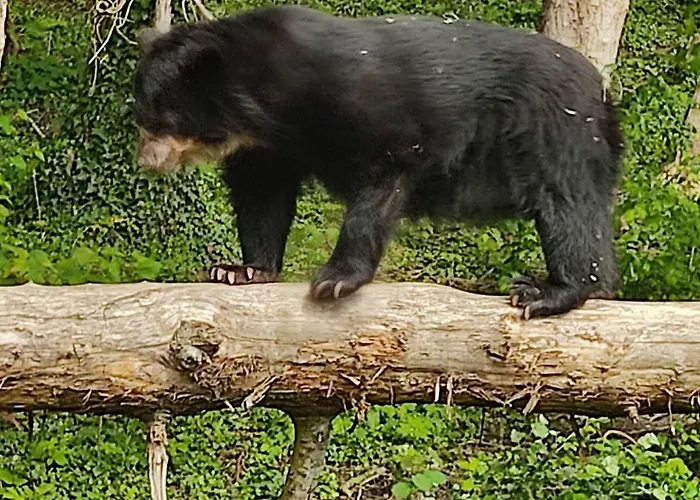 Dans Agreable Tiny House En Normandie Au Coeur Du Pays D'auge * Le Brevedent